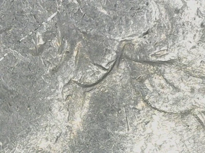 1990-D Washington Quarter, Error: Double Ear - Image 1 of 4