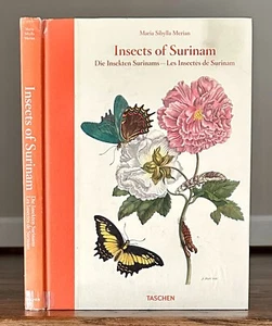 Insects of Suriname, by Maria Sibylla Merian - Foto 1 di 1