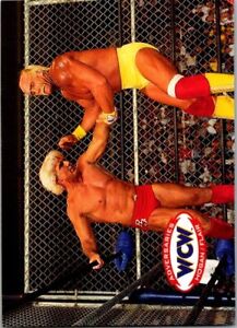1995 Cardz WCW Main Event #69 Hogan/Flair (Havoc)