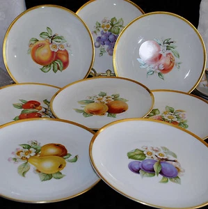 8 piatti da pranzo vintage Nutschenreuther Selb LHS BAVARIA GERMANY PASCO PREFERITI - Foto 1 di 9