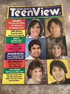 Tiger Beat Teen View December 1978 Magazine - Picture 1 of 3