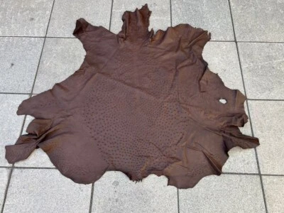 CUERO PIEL DE AVESTRUZ GENUINO PIEL CUERO EXÓTICO Foto 1 de 4