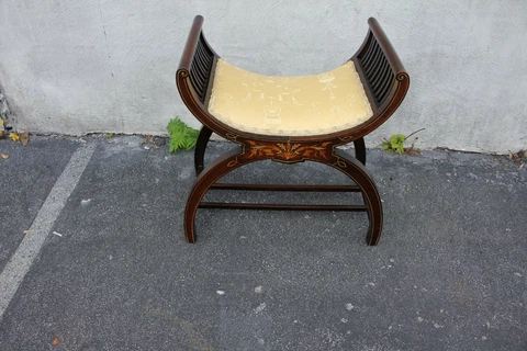 19th Century Inlaid Cerule Mahogany Bench Stool Cover