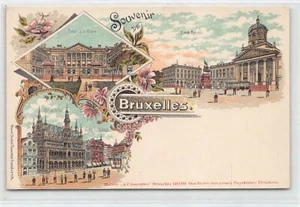 Belgique - BRUXELLES - LITHO - Place Royale - Palais de la Nation - Maison du Ro - Picture 1 of 2