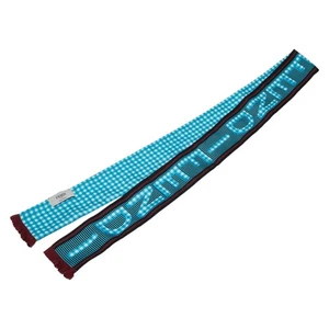 FENDI Rappie logo scarf Women 【Used】 - Picture 1 of 4