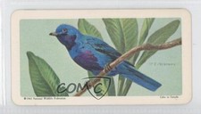 1964 Brooke Bond Red Rose Tropical Birds Tea American Blue Backs #31 0a1