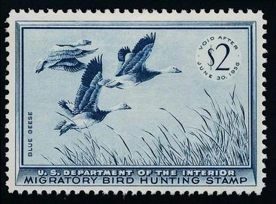 UNITED STATES (US) RW22 MINT VF HINGED $2 DARK BLUE - Image 1 of 2