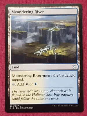 Magic The Gathering COMMANDER 2018 C18 MEANDERING RIVER land card MTG - Image 1 of 2