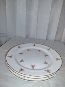 Royal Kent Scattered Rose Mayfield Staffordshire England 4 bone china 8 1/4" pla - Picture 1 of 8
