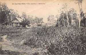 Perú - IQUITOS - Rio Ucayali - Mahuiso - Ed. Lira y Gil 44 - Picture 1 of 2