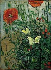 Vincent Van Gogh farfalle e papaveri 1890 stampa d'epoca - Foto 1 di 1