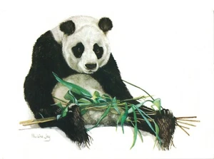 Panda with Bamboo Shoots•art by Pauline Jay• POSTCARD - Picture 1 of 1