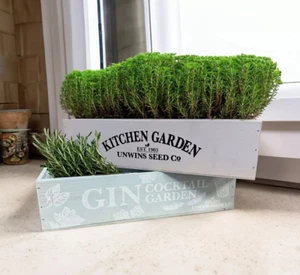 Gin or Kitchen Garden Herb Wooden Planter Box, 360mm x 95mm Lined Inside, Flower - Picture 1 of 8