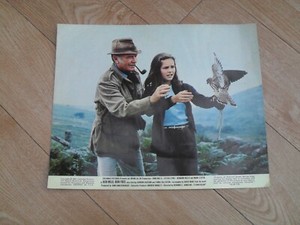 SIR JOHN MILLS, SYLVIA SYMS, MARK LESTER  - Lobby Card for RUN WILD, RUN FREE