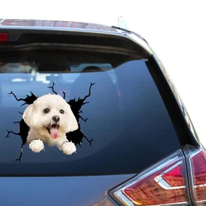 Maltese Dog Car Sticker Maltese Car Window Decal Maltese Dog Car Sticker Maltese - Picture 1 of 7