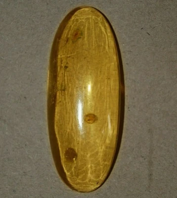44.30 Cts. Natural Genuine Old Baltic Amber Untreated Certified Gemstone - Image 1 of 4