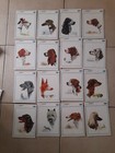 LOT DE 16 ANCIENNES PUBLICITES CALCIGENOL - PERROS DE CAZA - CERRA