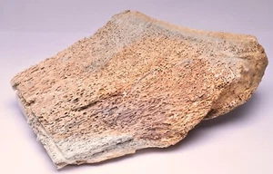 GENUINE MAMMOTH BONE PLEISTOCENE, ICE AGE F1500 - Foto 1 di 11