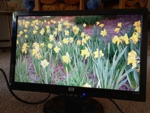 HP S1931a LCD 18.5" Widescreen VGA DVI Blu Ray Computer Monitor 2011 Tested - Picture 1 of 5