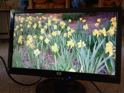 HP S1931a LCD 18.5" Widescreen VGA DVI Blu Ray Computer Monitor 2011 Tested - Image 1 of 4