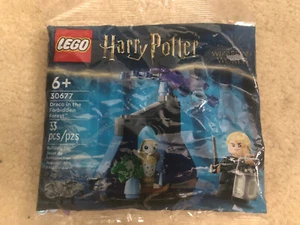 LEGO Harry Potter: Draco nella Foresta Proibita (30677) - Foto 1 di 1