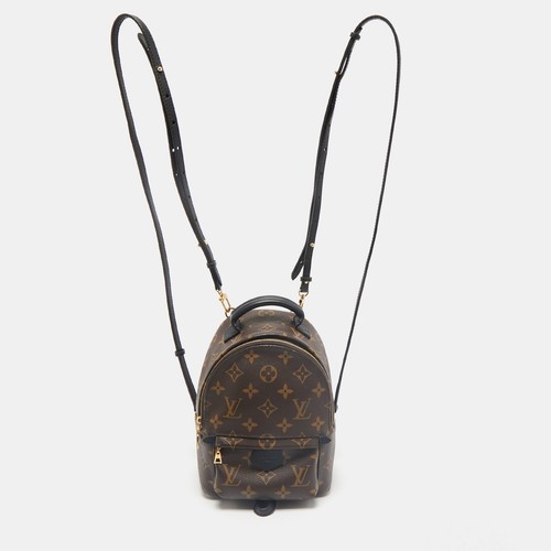 LOUIS VUITTON（LV） Zaino Louis Vuitton Monogram Tela Mini Palm Springs