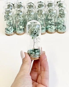 10 pcs Wedding Favors for Guests, Party Favors, Beauty and the Beast, Glass Dome - Picture 1 of 8