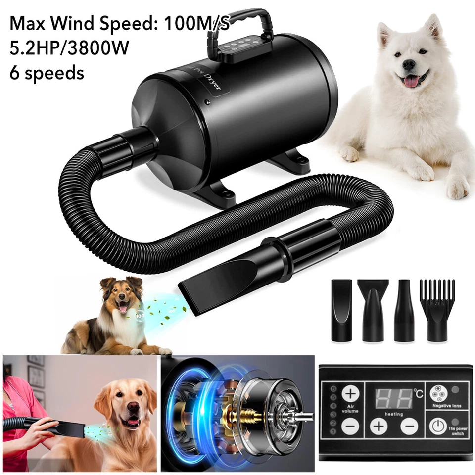 2400w Portable Pet Grooming Quiet Hair Dryer Blow Blaster Blower for Dogs & Cats
