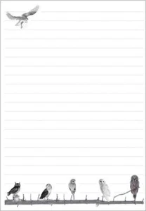 Eulen auf dem Ast - Briefschreibpapier - 100 g/m² Premium weiß 30 bis 50 Seiten - Bild 1 von 7