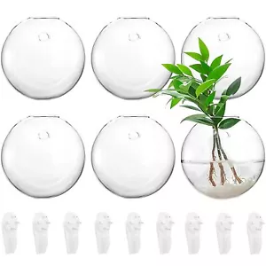 Yarlung 6 Pack Wall Hanging Planters Terrarium, 4.7 Inch Glass Oblate Globe P... - Picture 1 of 9