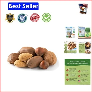 Protein-Rich Raw Nut Assortment: Walnuts, Hazelnuts, Mixed Nuts - 2 lbs Bag - Picture 1 of 9
