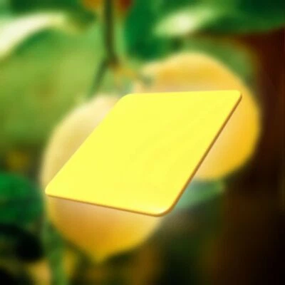 Dewello Duftplättchen Ionisator Aromaplättchen Sauna Duft Citrus Ozonreiniger