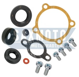 Komplettes Ölpumpe Reperatur Kit YAMAHA AS1 AS2 AS3 LS2 LS3 Oil pump Repair Kit - Picture 1 of 1
