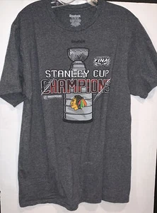 Reebok Chicago Blackhawks NHL Stanley Cup Champions 2015 Mens L Grey Tee Shirt - Picture 1 of 4
