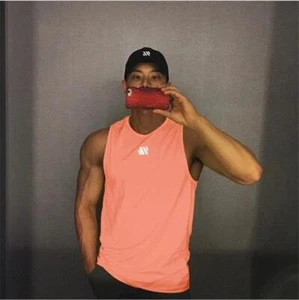 2024 Men's Fitness Tank Top Sleeveless Mesh Breathable Sports Vest Running Shirt - Picture 1 of 33