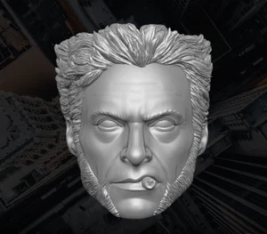 Hugh Jackman Wolverine Ver A 1:6 scale custom unpainted Head 12" Action Figure - Picture 1 of 1
