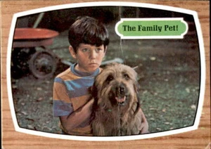 1969 Brady Bunch #9 The Family Pet! - GOOD Tiger has Crease Mike Lookinland Card - Picture 1 of 2