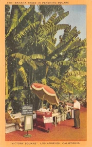 Banana Trees Pershing Square LOS ANGELES Victory Square c1940s postal vintage - Imagen 1 de 2