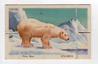 Vita-Brits Australia Polar Regions Wild Life 1961 #26 Polar Bear