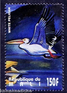 Mali 1995 MNH, Water Birds, White Pelican - Picture 1 of 1
