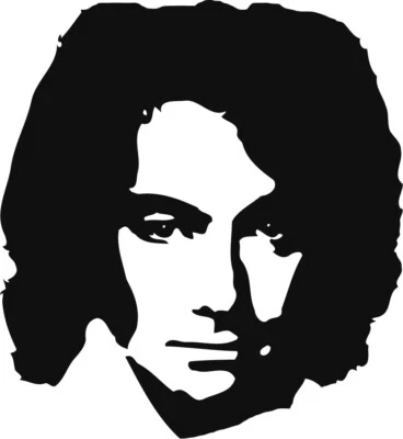 Neil Diamond VINYL DECAL Rock, 60's, 70's, 80's car windows, sticker, AMERICA