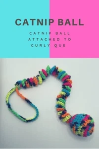 cat toy, catnip toy, hanging cat toy - Picture 1 of 12
