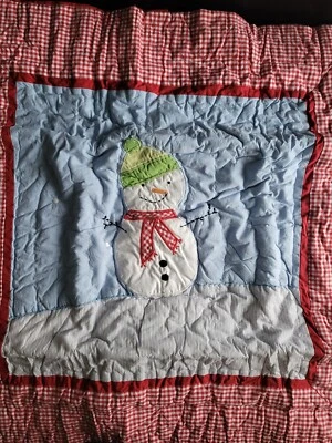 Edredón Pottery Barn Kids 2010 doble muñeco de nieve Euro Sham  Foto 1 de 3