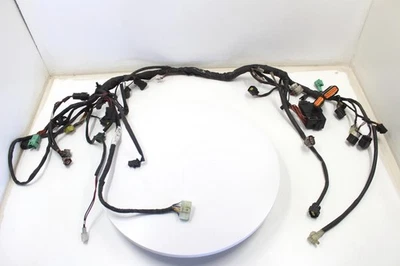 2009 SUZUKI VSTROM 1000 OEM MAIN ENGINE WIRING HARNESS MOTOR WIRE LOOM - Image 1 of 4