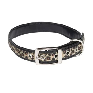 Leopard with Black Animal Print Dog Collar By Zack & Zoey in 5 Sizes - Picture 1 of 3