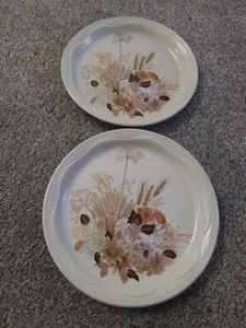 2 Vintage Poole Pottery England Summer Glory Stoneware Dinner Plate 26cm Across - Picture 1 of 9