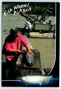 Fish Wheel Fishing Trap River Salmon Holding Tank Cleaning Table Alaska Postcard - Picture 1 of 4