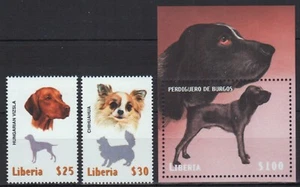 Liberia 1999 - Mi-Nr.o 2684-2685 & Block 243 ** - Estampillada sin montar o nunca montada - Perros / Perros - Imagen 1 de 1