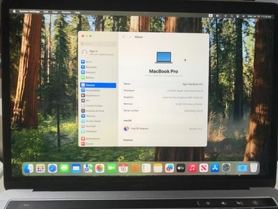 Apple MacBook 13" 2018 A1989 i5 2,3 GHz 16 GB 512 GB gris batería de servicio #877 Foto 1 de 4