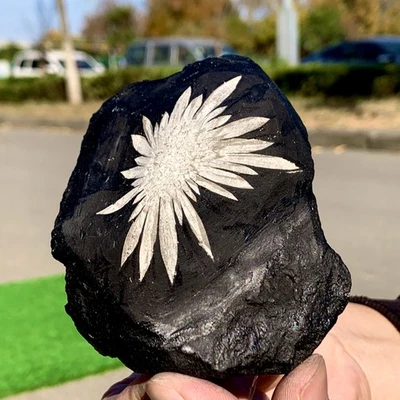 230G Natural Chrysanthemum Stone Quartz Carving Halo Treatment Gift - Image 1 of 4